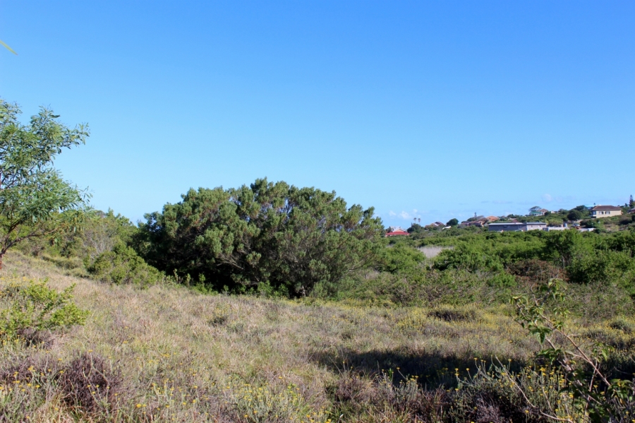 0 Bedroom Property for Sale in Forest Downs Eastern Cape